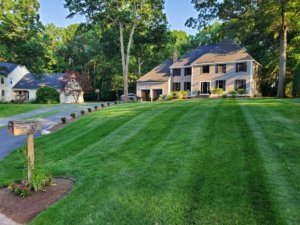 Affordable Lawn Mowing