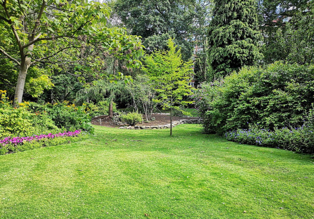 Massachusetts professional lawn care services