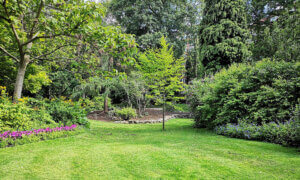 Massachusetts professional lawn care services