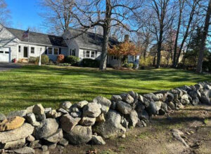 Holliston Ma Fall Clean Up Service