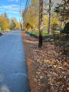 Hopkinton MA Fall Clean Up