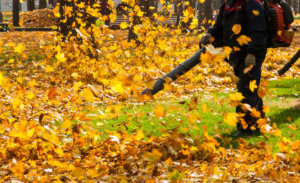 Fall Yard Clean Up Service in Sudbury, MA: Why Riverside Landscape Is Your Best Choice