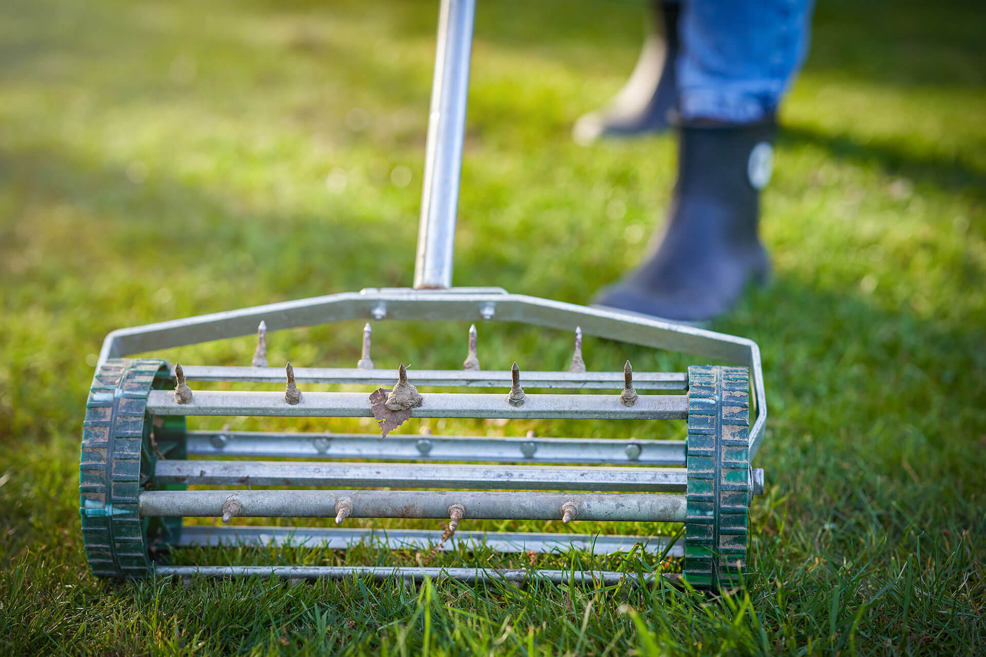 Aeration and Overseeding: Revitalizing Your Lawn for Summer Resilience