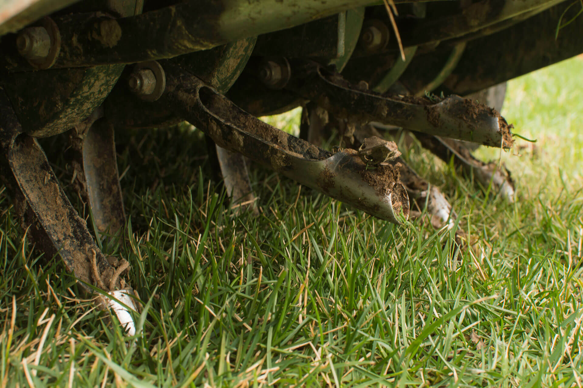The Importance of Aeration and Overseeding