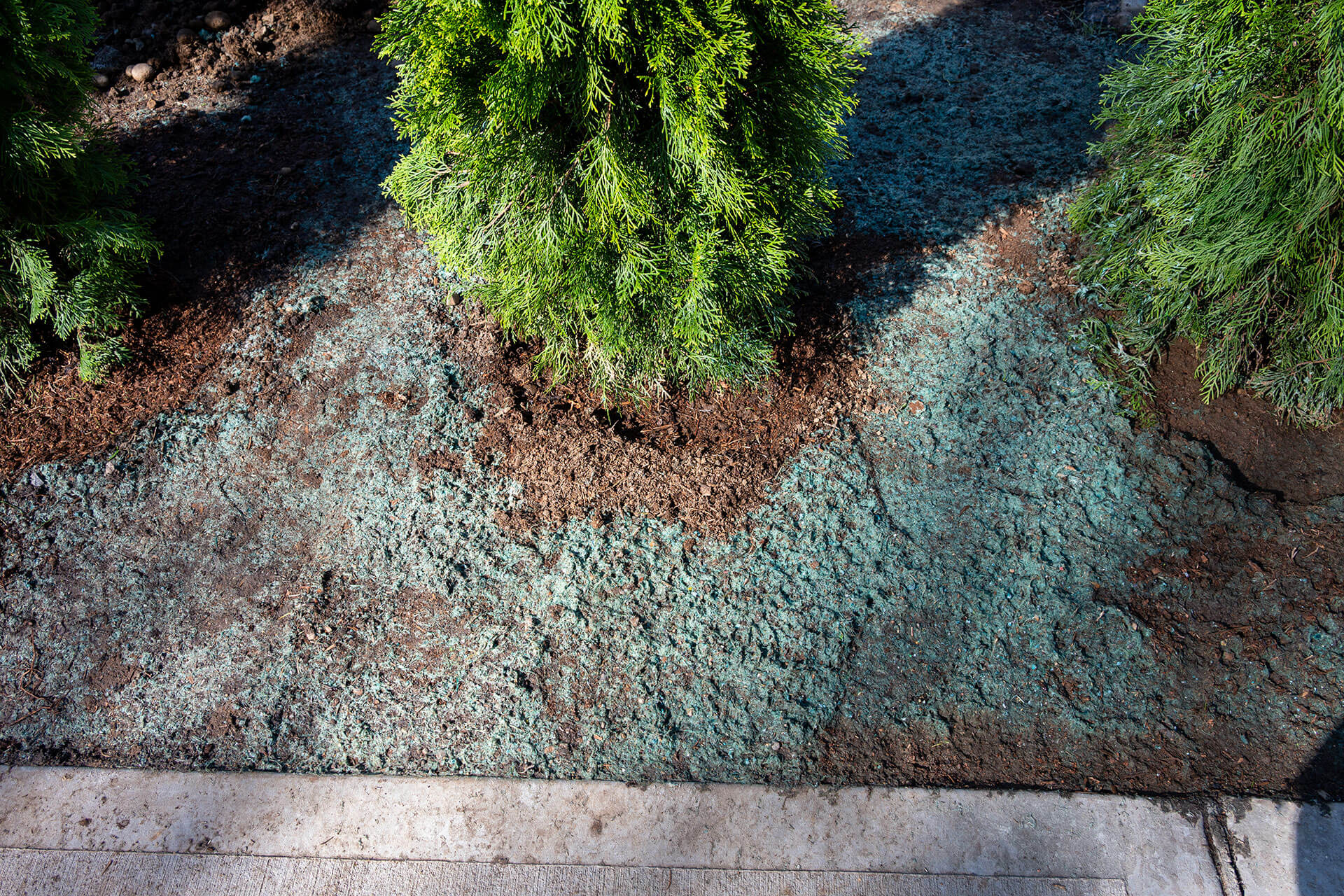 hydroseeding sprayed on dirt to replace dug up grass lawn
