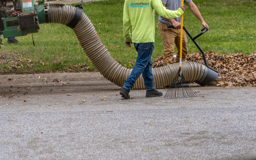 Natick Leaf Cleanup