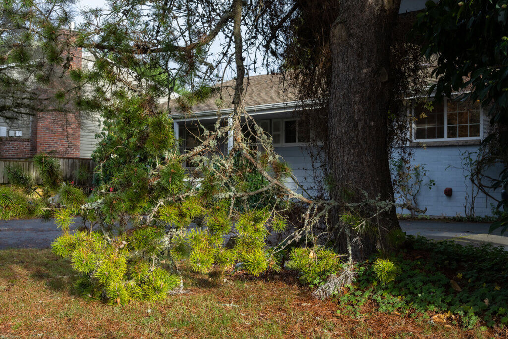 Storm Damage Cleanup
