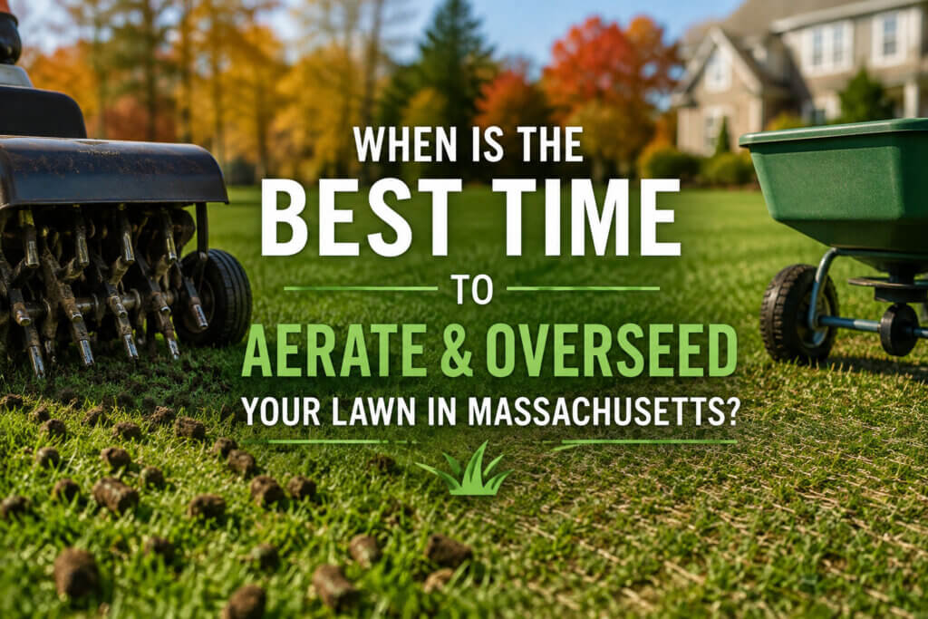 when is the best time to aerate and overseed your lawn in massachusetts