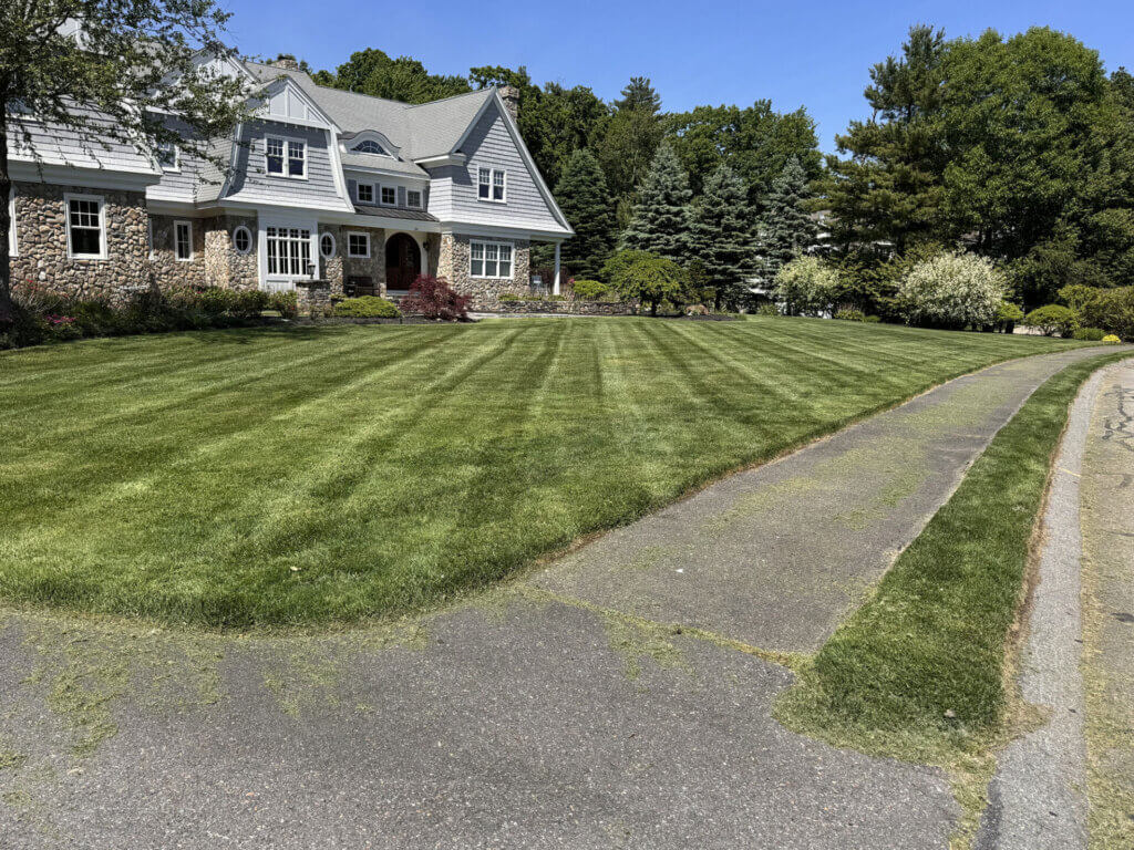 Fall Yard Clean Ups in Sudbury, MA